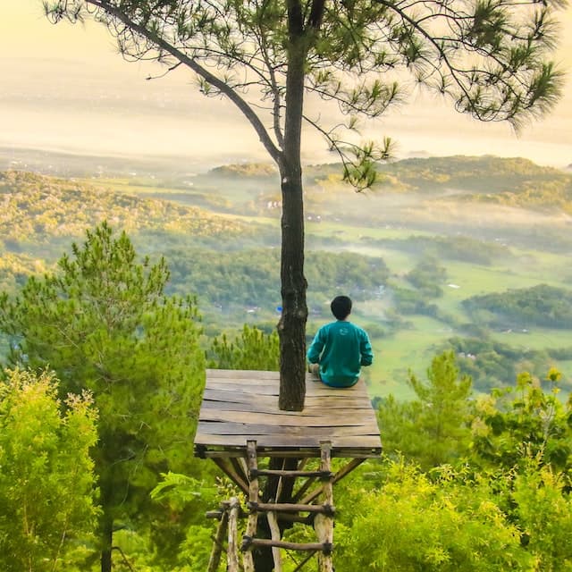 A man is sitting in the nature.